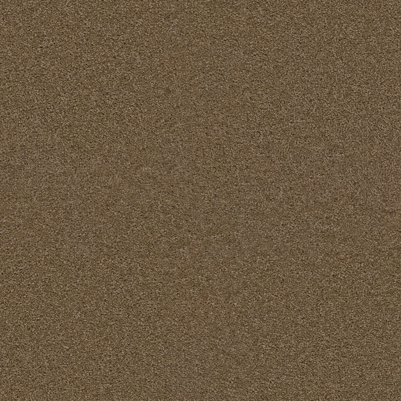 Dreamweaver Carpet Exceptional II Sable Carpet 7404_510