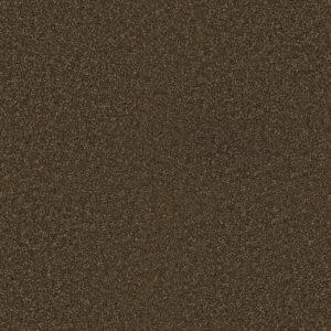 Dreamweaver Carpet Exceptional II Black Walnut Carpet 7404_540