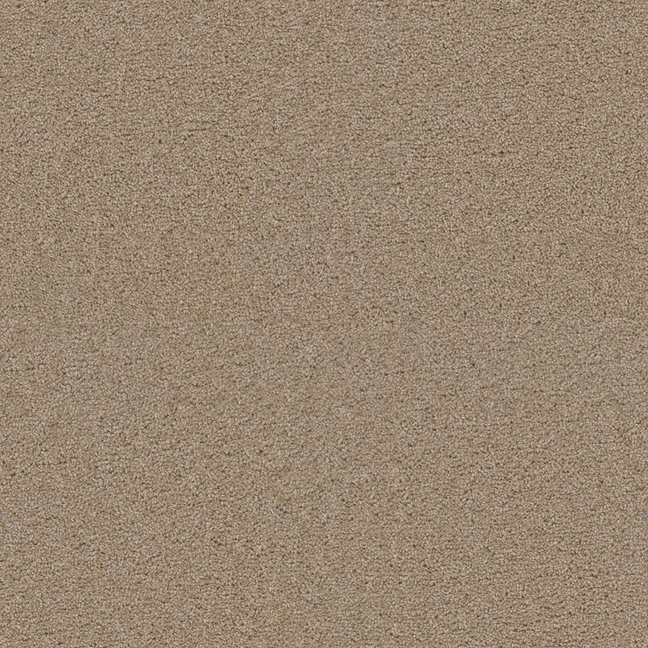 Dreamweaver Carpet Exceptional II Cashmere Carpet 7404_580