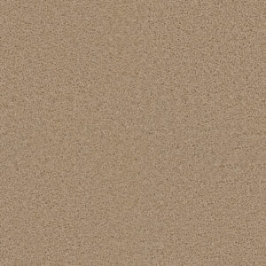 Dreamweaver Carpet Exceptional II Cookie Dough Carpet 7404_705