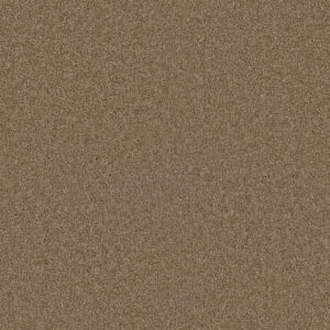 Dreamweaver Carpet Exceptional II Buff Carpet 7404_720