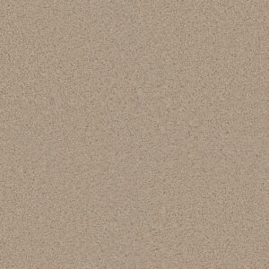 Dreamweaver Carpet Exceptional II Eggshell Carpet 7404_730