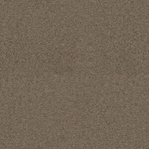 Dreamweaver Carpet Exceptional II Tigris Carpet 7404_770