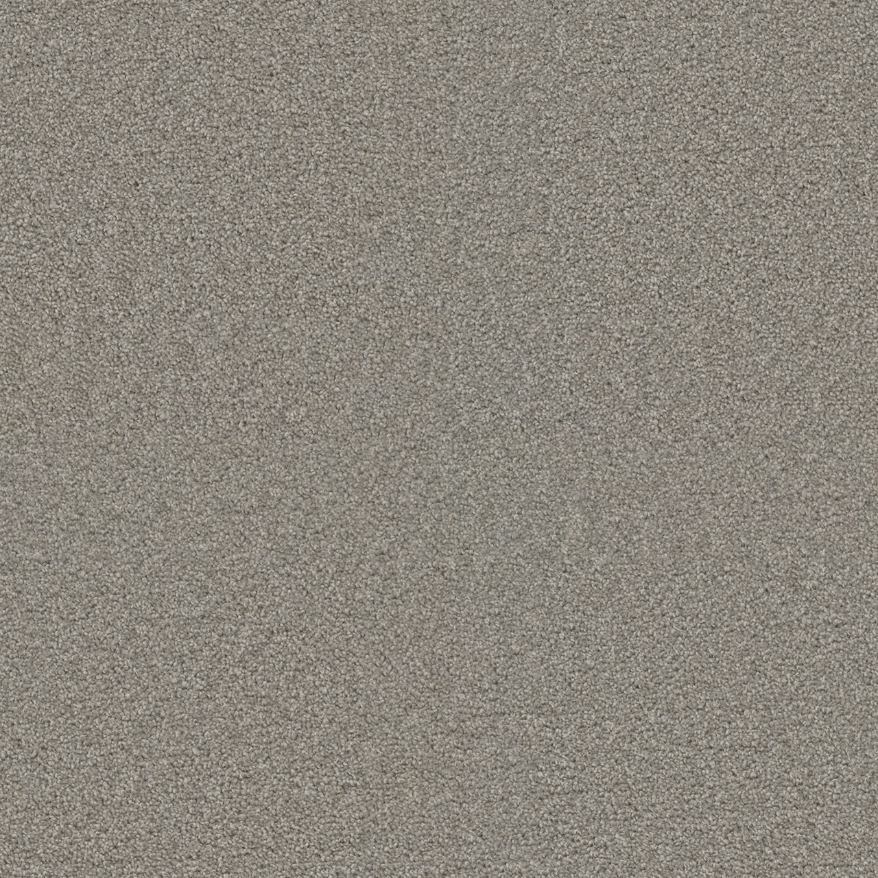 Dreamweaver Carpet Exceptional II Silver Birch Carpet 7404_800