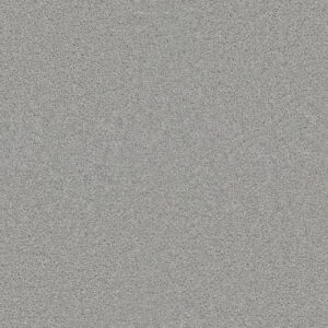 Dreamweaver Carpet Exceptional II Morning Fog Carpet 7404_813