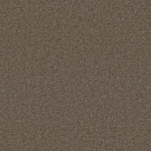 Dreamweaver Carpet Exceptional II Tumbleweed Carpet 7404_829