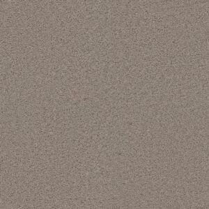 Dreamweaver Carpet Exceptional II Mineral Carpet 7404_850