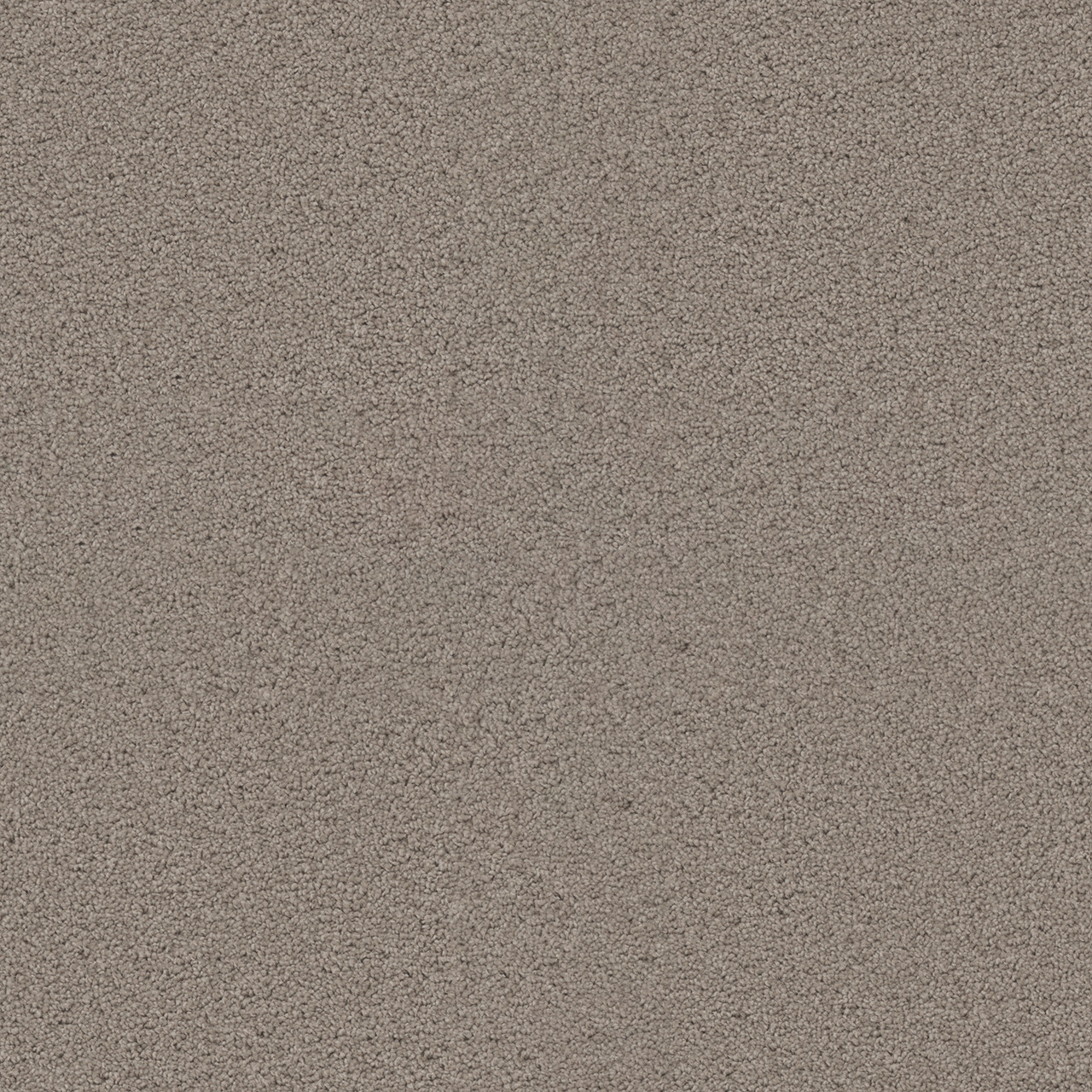 Dreamweaver Carpet Exceptional II Mineral Carpet 7404_850