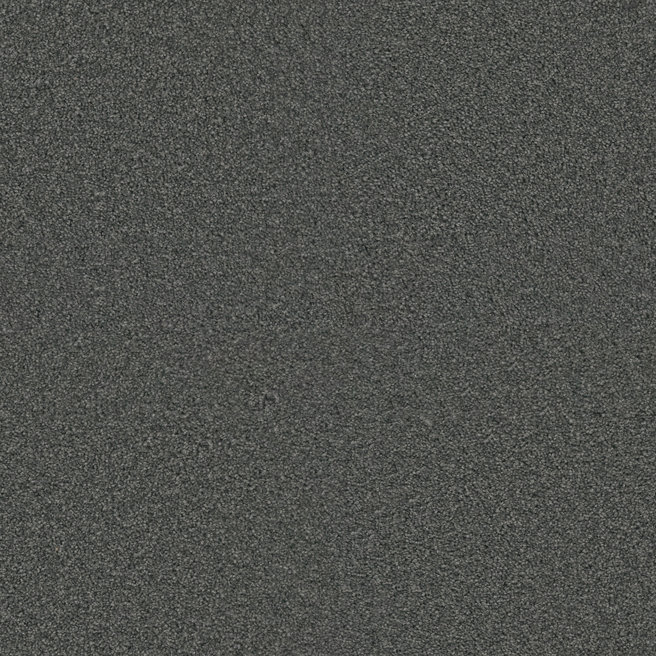 Dreamweaver Carpet Exceptional II Steel Grey Carpet 7404_890