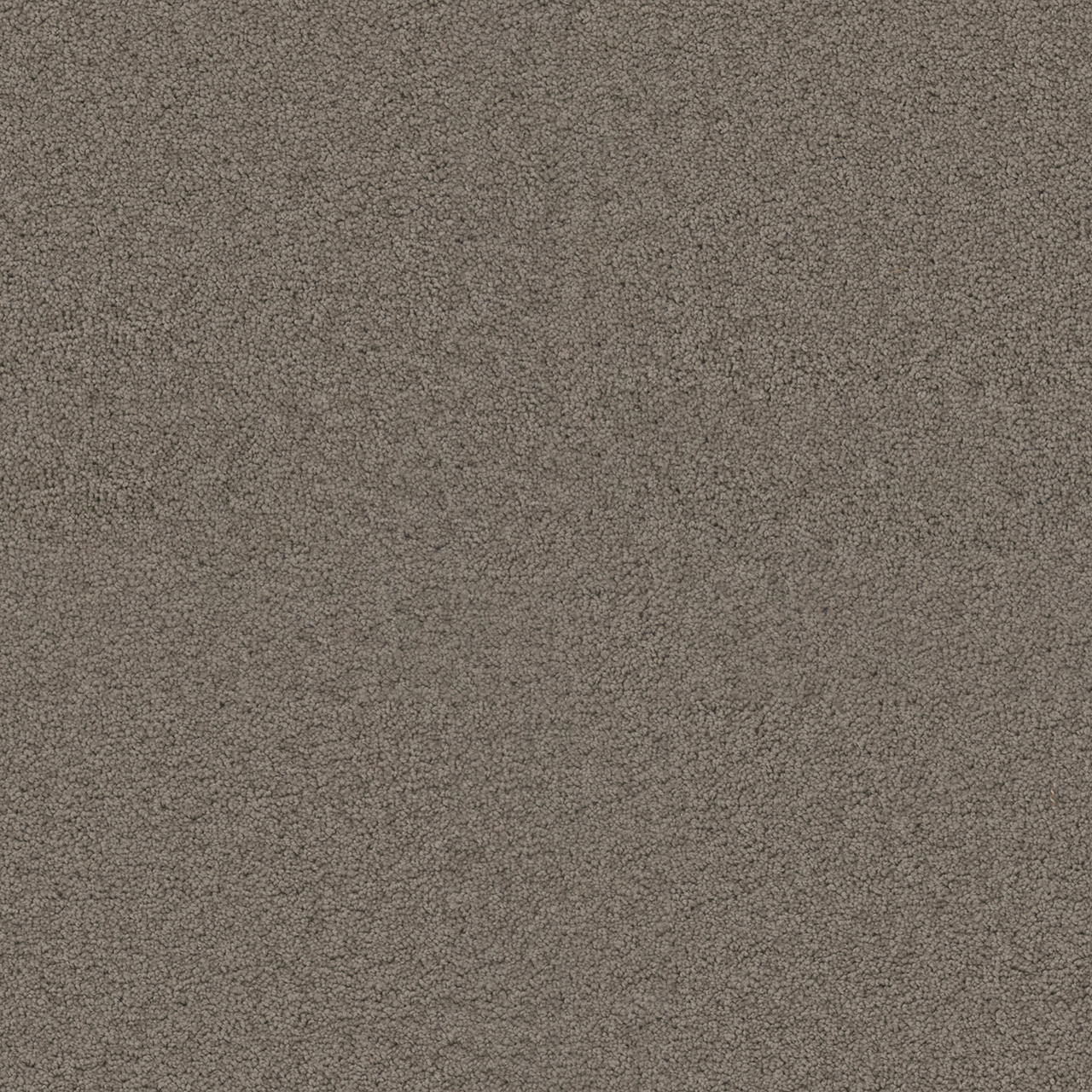 Dreamweaver Carpet Exceptional II Castle Carpet 7404_945