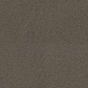 Dreamweaver Carpet Exceptional II Riverbed Carpet 7404_955