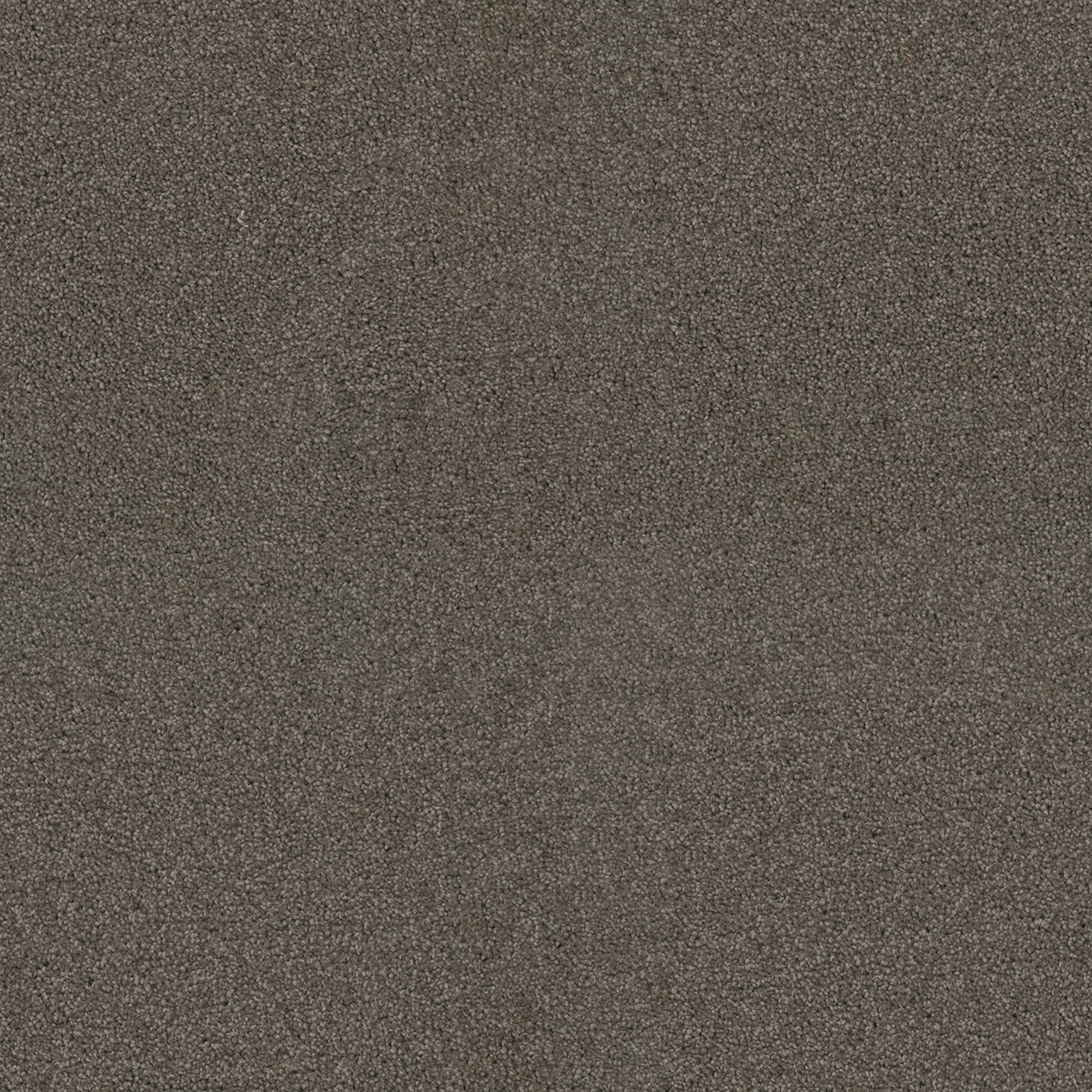 Dreamweaver Carpet Exceptional II Riverbed Carpet 7404_955