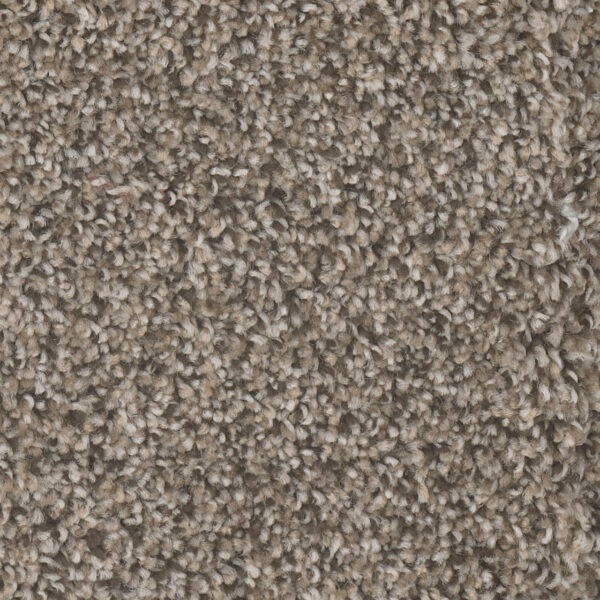 Dreamweaver Carpet Jackson Hole II Deep Thistle Carpet 7560_107