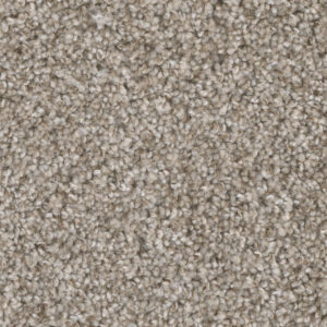 Dreamweaver Carpet Jackson Hole II Sierra Lace Carpet 7560_108