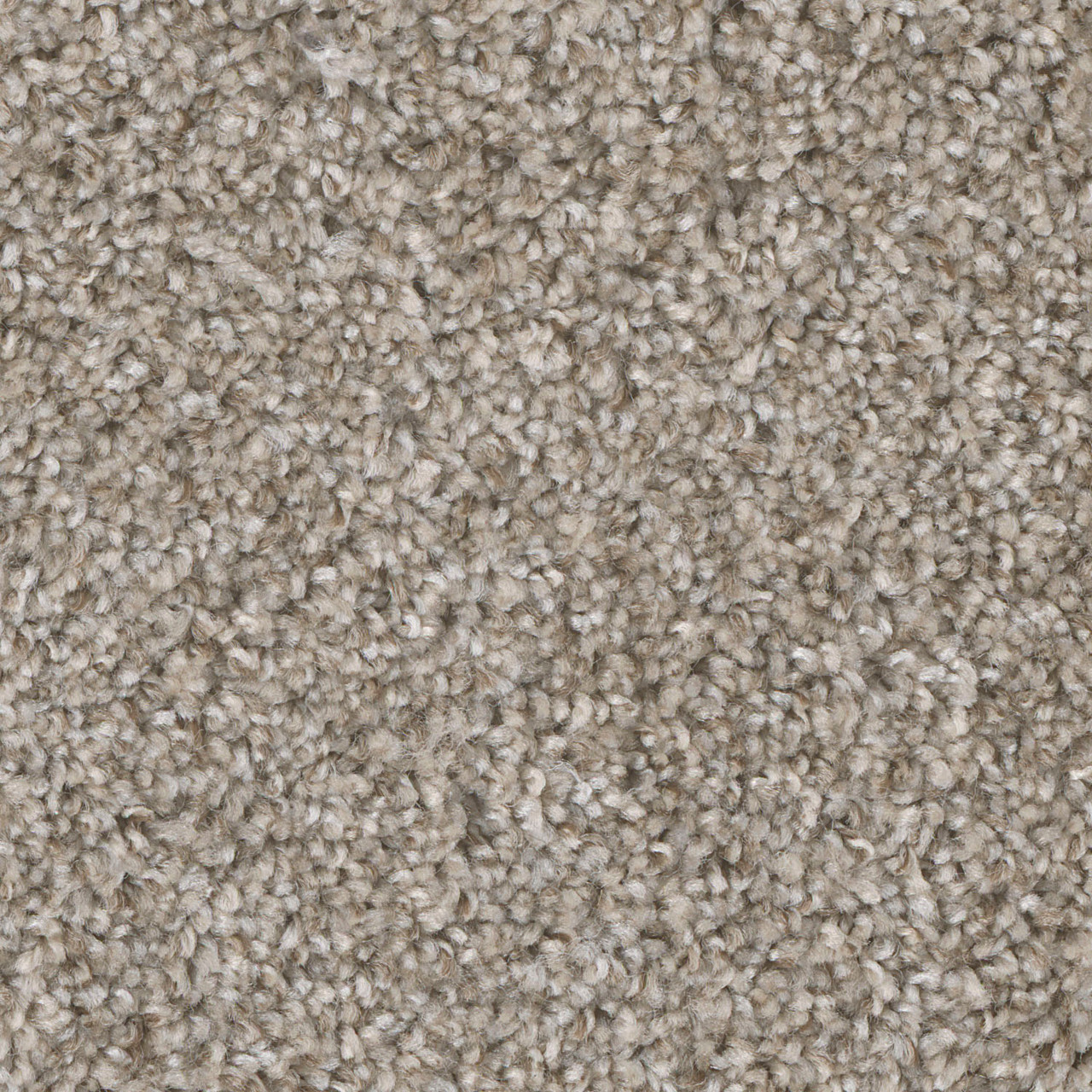 Dreamweaver Carpet Jackson Hole I Sierra Lace Carpet 7543_108