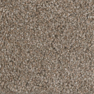 Dreamweaver Carpet Jackson Hole II Prairie Sun Carpet 7560_113
