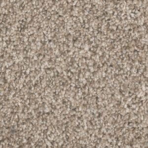 Dreamweaver Carpet Jackson Hole II Sunglow Carpet 7560_117