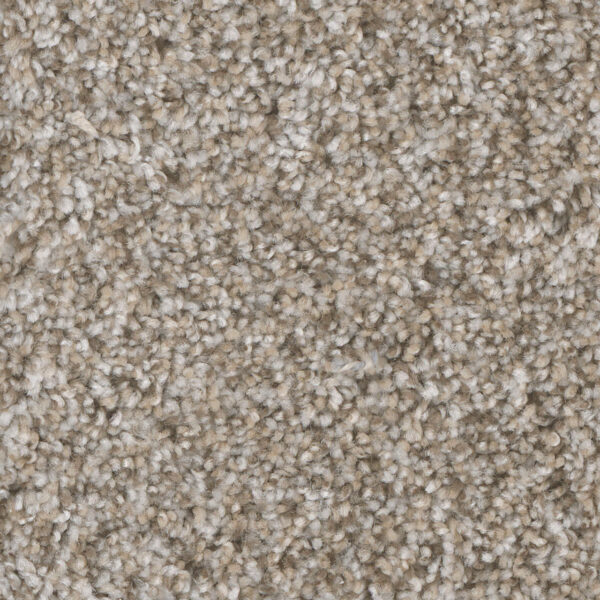 Dreamweaver Carpet Jackson Hole II Snow River Carpet 7560_323