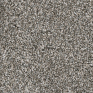 Dreamweaver Carpet Jackson Hole II Quiet Breeze Carpet 7560_411