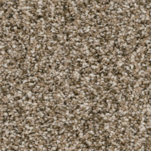 Dreamweaver Carpet Jackson Hole II Pebble Carpet 7560_637