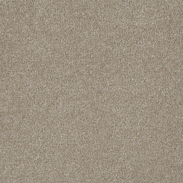 Dreamweaver Carpet Luxor III Cameo Carpet 7760_174