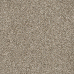 Dreamweaver Carpet Luxor III Outback Carpet 7760_298