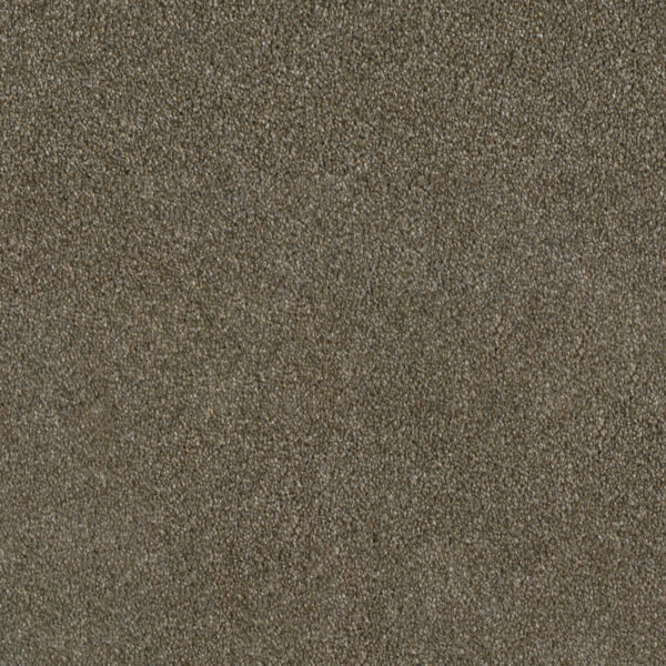 Dreamweaver Carpet Luxor I Cinnamon Tea Carpet 7740_528