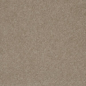 Dreamweaver Carpet Luxor III Flax Beige Carpet 7760_535
