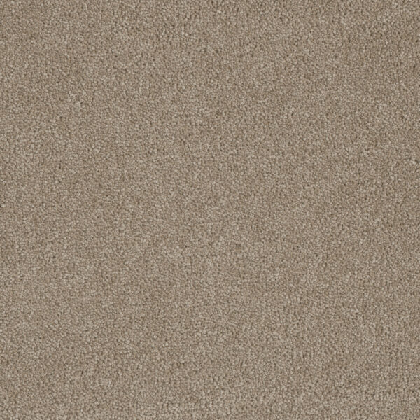 Dreamweaver Carpet Luxor I Flax Beige Carpet 7740_535
