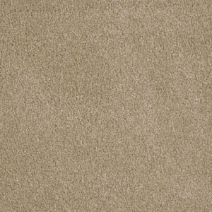 Dreamweaver Carpet Luxor III Cashmere Carpet 7760_580