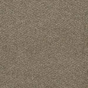 Dreamweaver Carpet Luxor III Sienna Sand Carpet 7760_680