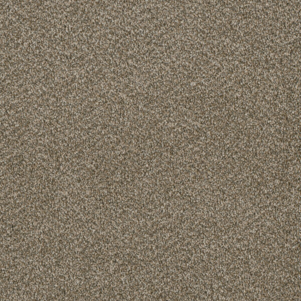 Dreamweaver Carpet Luxor III Sienna Sand Carpet 7760_680