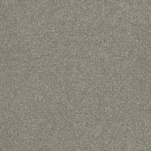 Dreamweaver Carpet Luxor III Dove Carpet 7760_800