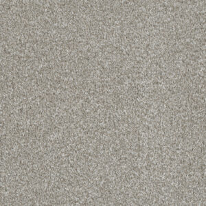 Dreamweaver Carpet Luxor III Winterbrooke Carpet 7760_898