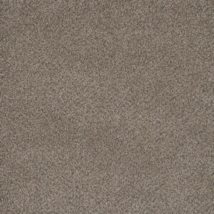 Dreamweaver Carpet Monte Carlo II Umber Carpet 7200_6004