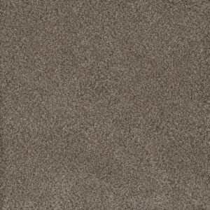 Dreamweaver Carpet Monte Carlo II Fawn Carpet 7200_6005