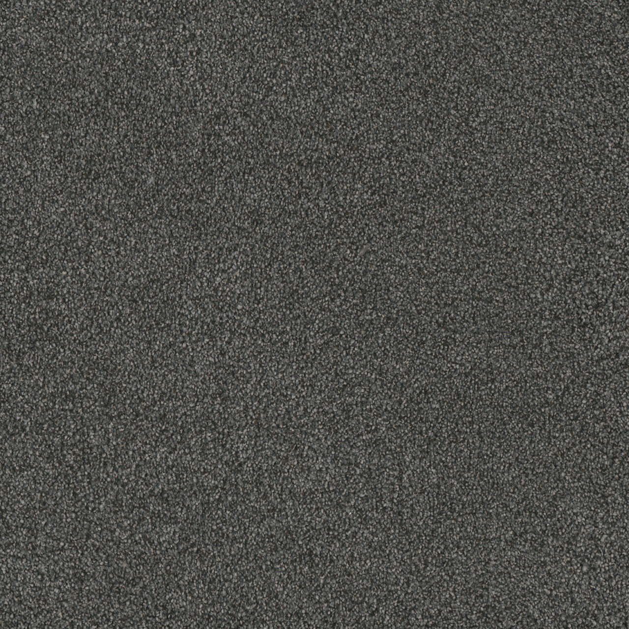Dreamweaver Carpet Monte Carlo I Denim Blues Carpet 6200_6064
