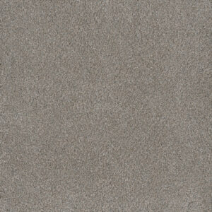 Dreamweaver Carpet Monte Carlo II Antique Fresco Carpet 7200_6076