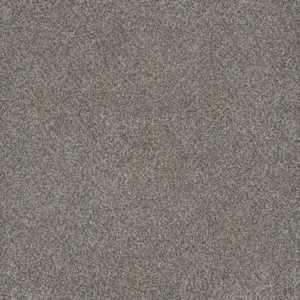Dreamweaver Carpet Monte Carlo II Dogwood Carpet 7200_6077