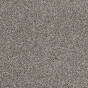 Dreamweaver Carpet Hollywood Havana Carpet 8232_330