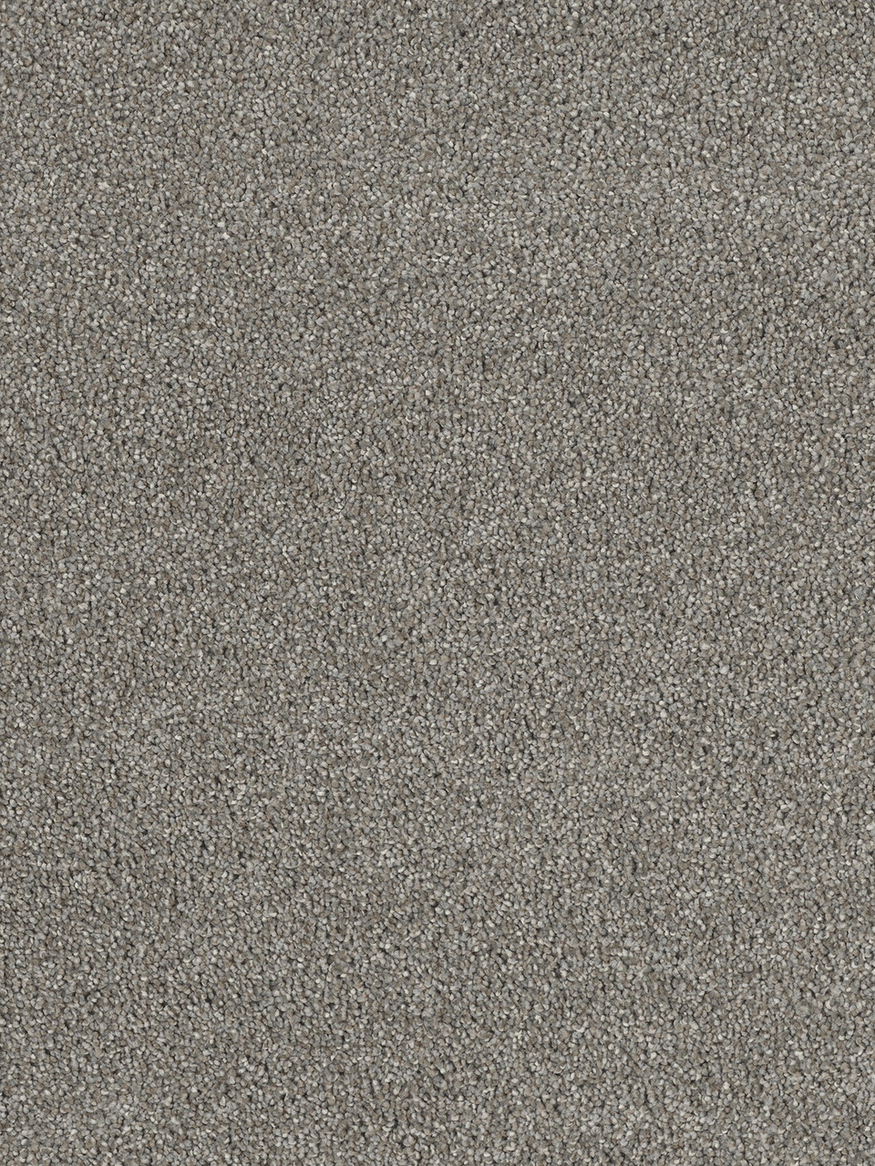 Dreamweaver Carpet Hollywood Havana Carpet 8232_330