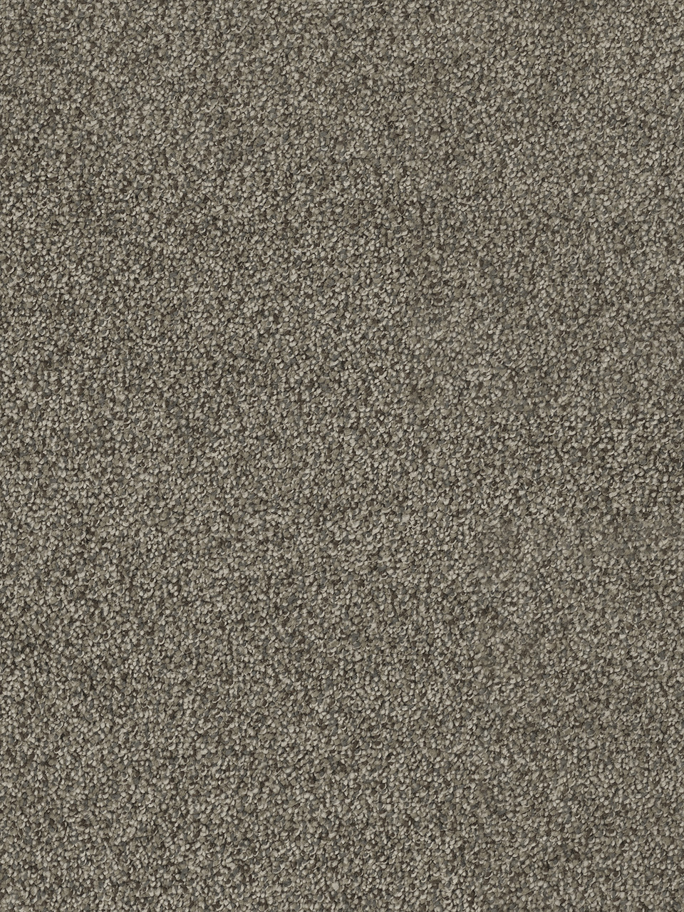 Dreamweaver Carpet Hollywood Smoky Quartz Carpet 8232_418