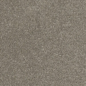 Dreamweaver Carpet Hollywood Cinnamon Tea Carpet 8232_528