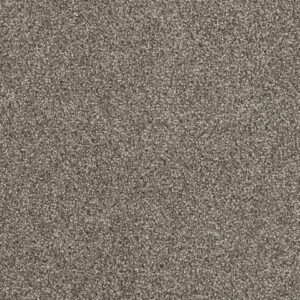 Dreamweaver Carpet Hollywood Baltic Birch Carpet 8232_622