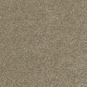 Dreamweaver Carpet Hollywood Sienna Sand Carpet 8232_680