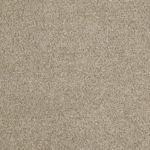 Dreamweaver Carpet Hollywood Iceberg Carpet 8232_733
