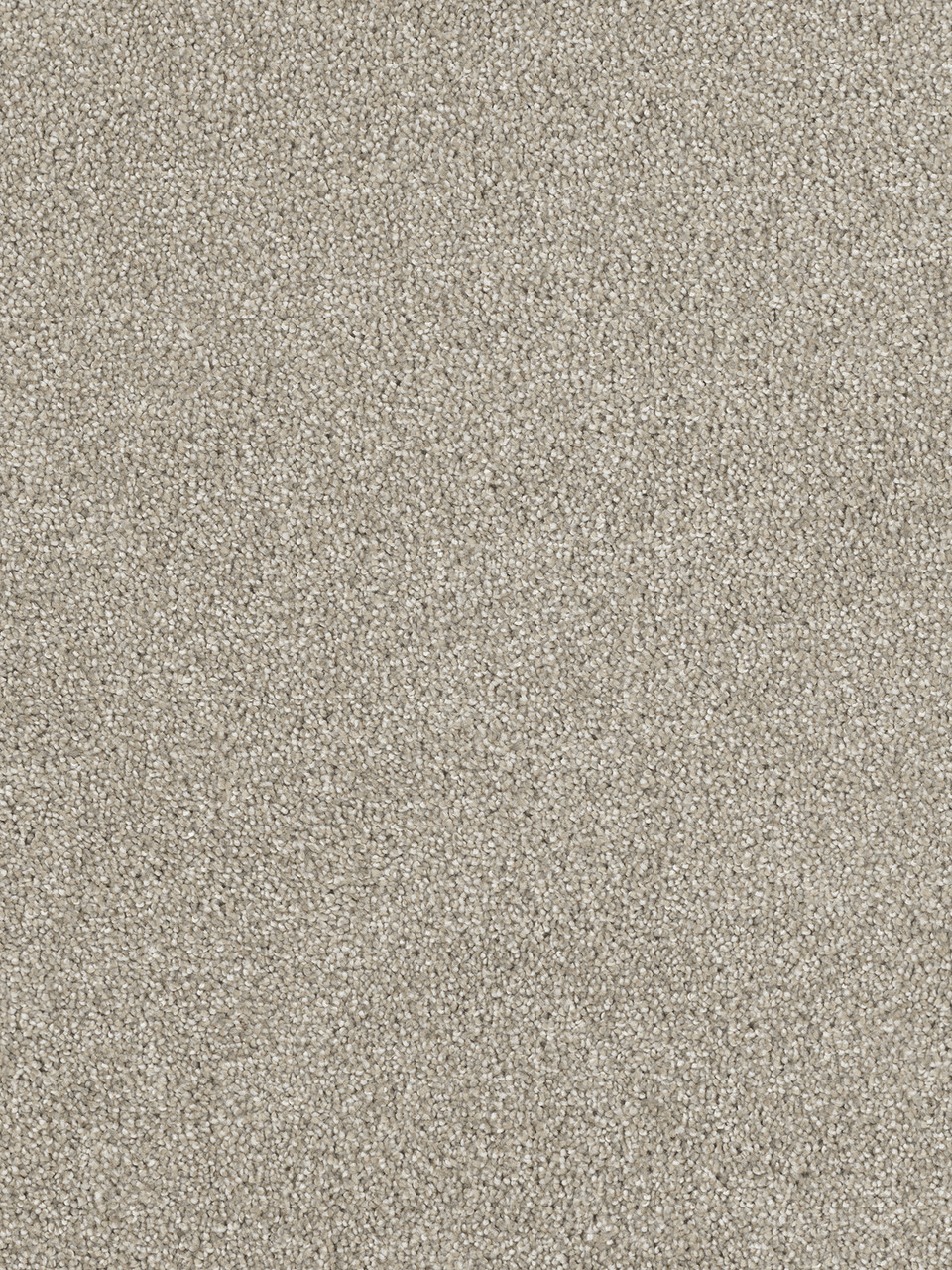 Dreamweaver Carpet Hollywood Orion Carpet 8232_780