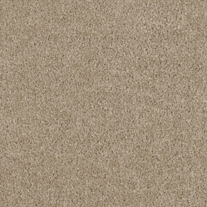 Dreamweaver Carpet Hollywood Warm Teak Carpet 8232_784