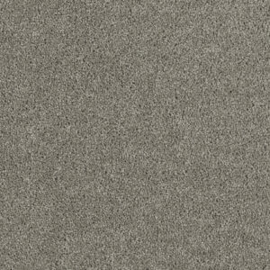 Dreamweaver Carpet Hollywood Dark Platinum Carpet 8232_889
