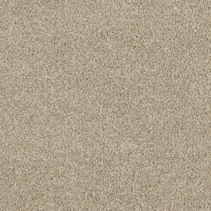 Dreamweaver Carpet Hollywood Oyster Shoal Carpet 8232_912